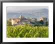 Vineyard And Village, Volpaia, Tuscany, Italy by Peter Adams Limited Edition Print