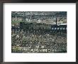 Shearbridge Area, Bradford, Yorkshire, England, United Kingdom by David Beatty Limited Edition Print