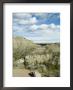 Theodore Roosevelt National Park, North Dakota, Usa by Ethel Davies Limited Edition Print
