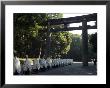 Torii Gate, Procession Of Temple Priests, Meiji Jingu Shrine, Tokyo, Japan by Christian Kober Limited Edition Pricing Art Print