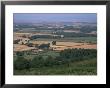 North Somerset And The Bristol Channel In The Distance, From The Quantocks, Somerset, England by Julia Bayne Limited Edition Pricing Art Print