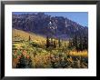 Autumn At San Miguel Mts, Durango, Co by Ernest Manewal Limited Edition Print