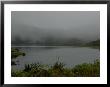 Fog Clearing From A Lake In A Rain Forest by Todd Gipstein Limited Edition Print