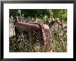 Old Abandoned Farm Tractor, Defiance, Missouri, Usa by Walter Bibikow Limited Edition Print