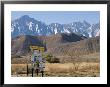 Lone Pine Sign And Mount Whitney From Highway 395 In Lone Pine, California by Rich Reid Limited Edition Print