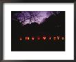 A Row Of Jack-O-Lanterns Illuminated On An Autumn Evening by Bill Curtsinger Limited Edition Print