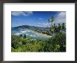 Tairua Harbour Towards Pauanui On The East Coast Of The Coromandel Pensinula, New Zealand by Robert Francis Limited Edition Print