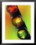 Globes In Traffic Light by Carol & Mike Werner Limited Edition Print