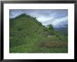 Yali Village, Irian Jaya (West Irian) (Irian Barat), New Guinea, Indonesia by Jane Sweeney Limited Edition Print