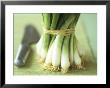 A Bunch Of Spring Onions by Michael Paul Limited Edition Pricing Art Print