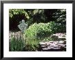 Pond, With Nymphaea, Iris, Pebble Beach & Sitting Statue by Sunniva Harte Limited Edition Print