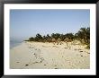 Thatch Umbrellas And A Canoe On A Deserted Tropical Beach by Wolcott Henry Limited Edition Print