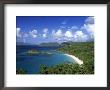 Trunk Bay, St. John, Us Virgin Islands, Caribbean by Walter Bibikow Limited Edition Print