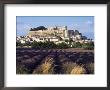 Grignan Chateau And Leavender Field, Grignan, Drome, Rhone Alpes, France by Charles Bowman Limited Edition Pricing Art Print