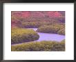 Menehune Fisk Pond, Hulea National Wildlife Refuge, Kauai, Hawaii, Usa by Terry Eggers Limited Edition Pricing Art Print