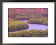 Menehune Fisk Pond, Hulea National Wildlife Refuge, Kauai, Hawaii, Usa by Terry Eggers Limited Edition Print