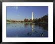 Washington Monument, Washington Dc by Bob Kramer Limited Edition Print