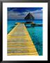 Pontoon And Hut Over The Lagoon, Rangiroa, Taumotus, The, French Polynesia by Jean-Bernard Carillet Limited Edition Print