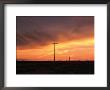 Outback Power Lines At Sunset, New South Wales, Australia by Angus Oborn Limited Edition Print