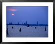 Approaching Venice By Boat, Venice, Italy by Terri Froelich Limited Edition Print