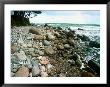 Rocky Coastline And Rainbow, Jasmund National Park, Island Of Ruegen, Germany by Christian Ziegler Limited Edition Print