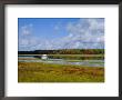 Near Kennebunkport, Maine, Usa by Fraser Hall Limited Edition Print