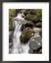 Waterfall, Holme Wood, Lake District, Cumbria, England, United Kingdom by Neale Clarke Limited Edition Print