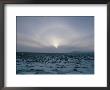 An Aurora Appears As The Sun Sets/Rises Over A Snowy Field by Sisse Brimberg Limited Edition Print