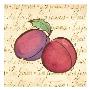 Plums by Elizabeth Garrett Limited Edition Print