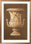 Classic Urn Ii by Victoria Splendore Limited Edition Print