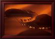 Dromedary Caravan Near Nouakchott, Mauritania by Yann Arthus-Bertrand Limited Edition Print