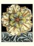 Panelled Rosette On Black I by Jennifer Goldberger Limited Edition Pricing Art Print