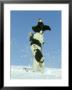 Springer Spaniel Puppy, (4 Months Old) Jumping In Air To Catch Snow, Scotland by Mark Hamblin Limited Edition Print