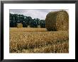 Haystacks In A Field In Normandy by Nicole Duplaix Limited Edition Print
