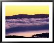 Mist Rolling Over Vineyards, Napa, California by Oliver Strewe Limited Edition Print