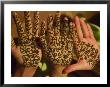 Woman's Palm Decorated In Henna, Jaipur, Rajasthan, India by Keren Su Limited Edition Print