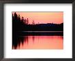 Dramatic Picture Of A Forest-Edged Lake Under A Pinkish-Orange Sky by Mattias Klum Limited Edition Print