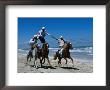 Horse Riding Acrobatics At Traditional Berber Wedding, Djerba Island, Medenine, Tunisia by Ariadne Van Zandbergen Limited Edition Print