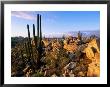 Cacti And Boulder Field, Catavina, Ensenada, Baja California, Mexico by John Elk Iii Limited Edition Print