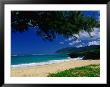 Pounder's Beach On The Windward Coast Of The Island Between Haula And Laie, Oahu, Hawaii, Usa by Ann Cecil Limited Edition Print