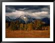 Storm Clouds Over Mountains And Trees, Grand Teton National Park, Usa by Carol Polich Limited Edition Print