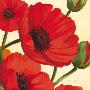 Hawaiian Poppies by Susanne Bach Limited Edition Print