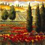 Tuscany In Bloom Iii by J.M. Steele Limited Edition Print