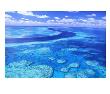 Australia's Great Barrier Reef by Theo Allofs Limited Edition Print