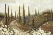 Tuscany Fields I by Lisa Audit Limited Edition Print