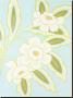 Spring And White Floral Iii by Monica Kuchta Limited Edition Print