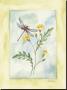 Dragonfly With Yellow Flowers by Paige Houghton Limited Edition Print