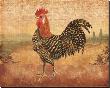 Florentine Rooster I by Lisa Ven Vertloh Limited Edition Print