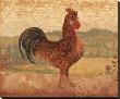 Florentine Rooster Ii by Lisa Ven Vertloh Limited Edition Print