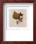Cottonwood by Dick & Diane Stefanich Limited Edition Print